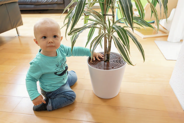 ABUS Växtskydd, 2 st.