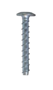 EXP MM betongbult stort huvud Ø17 EG