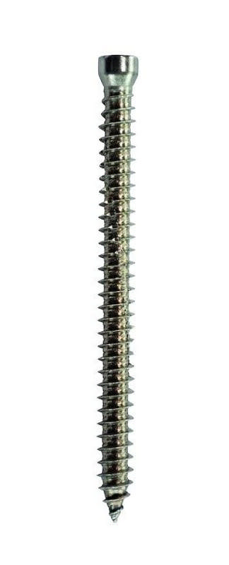 EXP betongskruv rostfri A2 m/huvud